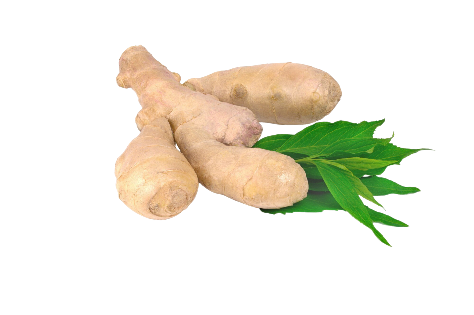 زنجبيل اخضر