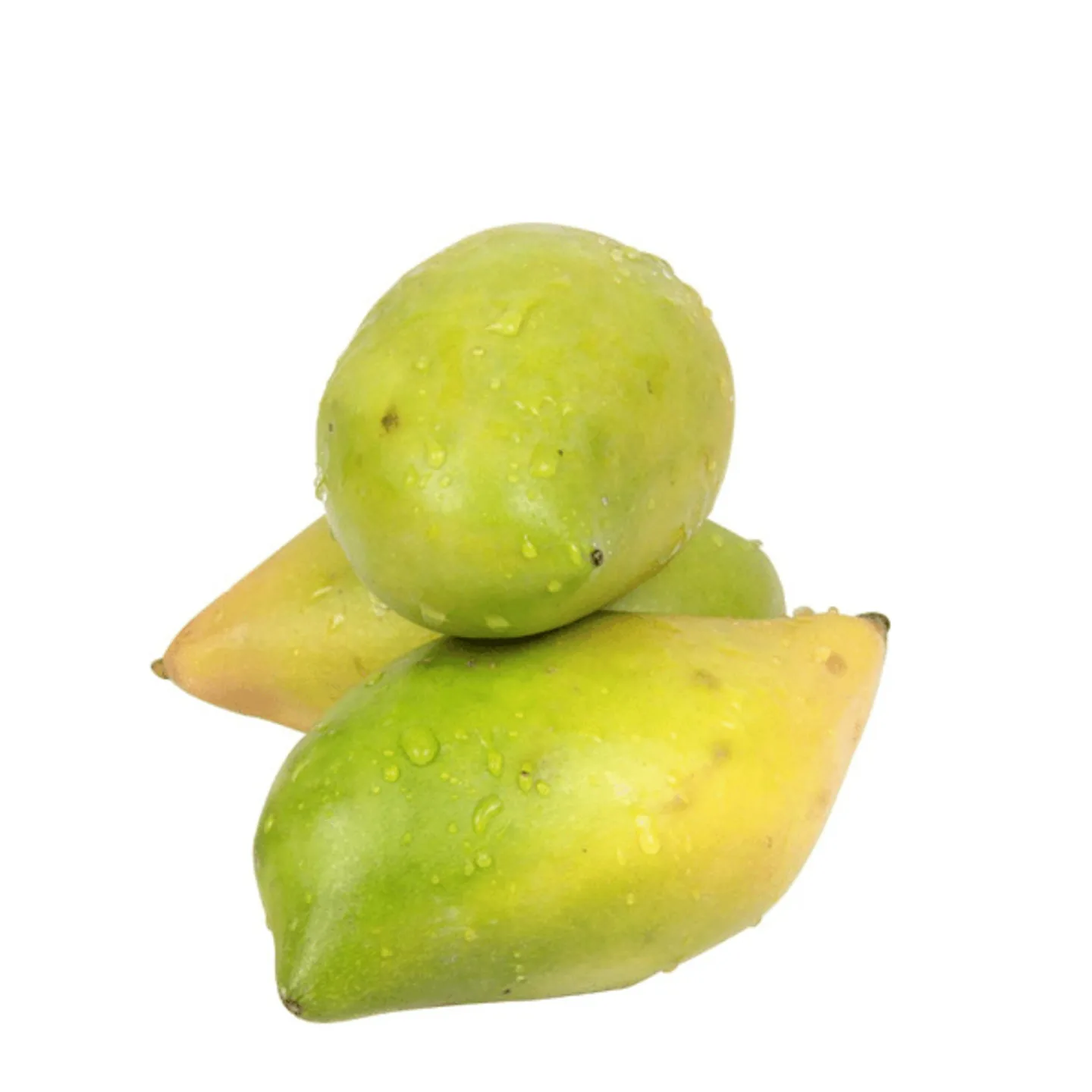 منجا سمكة
